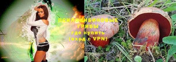 ПСИЛОЦИБИНОВЫЕ ГРИБЫ Краснотурьинск