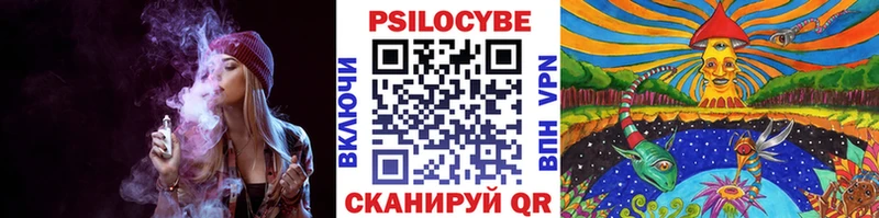 цены   Кондрово  Псилоцибиновые грибы мицелий 